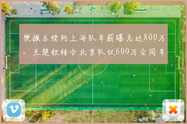 樊振东续约上海队年薪曝光达800万，王楚钦转会北京队仅600万合同年限更短